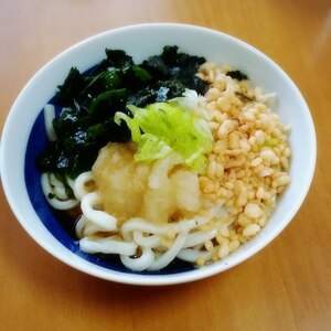 冷たく冷やして揚げ玉とわかめの”大根おろしうどん”